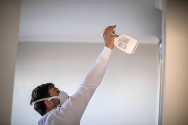 Pacific Grove, CA Mold Remediation Company