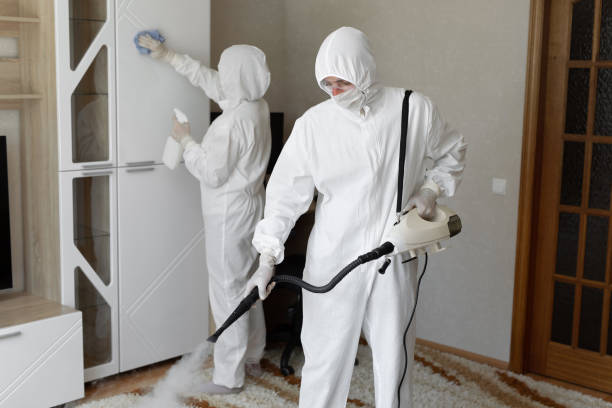 Best Basement Mold Remediation in Pacific Grove, CA