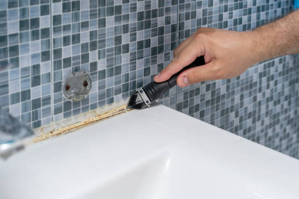 Best Health and Safety Mold Remediation in Pacific Grove, CA